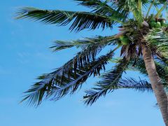 -三亚西岛海洋文化旅游区