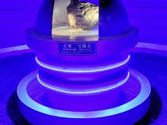 -吉林市博物馆