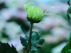 -共青国家森林公园-南大门停车场