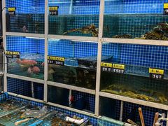 -金龙·打边炉(南京西路店)