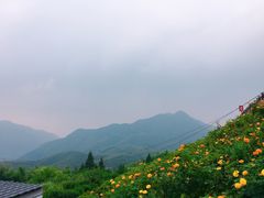 -江南天池
