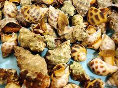 -华兴大酒楼(亿宝大厦店)