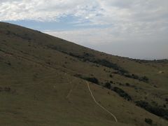 -大姆山草场