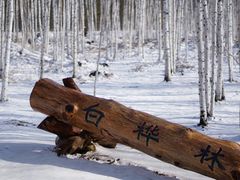 -北极村旅游风景区