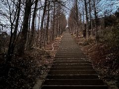 -东白山