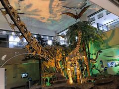 -甘肃地质博物馆