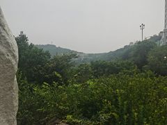 -富斯特索道