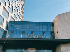 -上海嘉定喜来登酒店