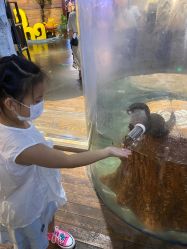 -Zoolung Zoolung动物主题公园(海信广场店)