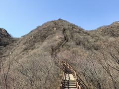 -大岭沟猕猴桃谷风景区