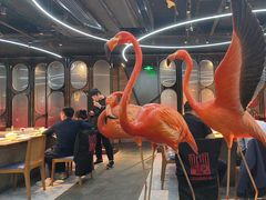 -水木锦堂·自助铁板烧(望京凯德MALL店)