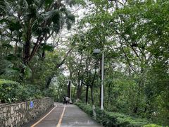-中山公园(石岐街道)