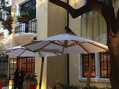 花园晚餐-玫瑰厅上海菜(兴国路店)