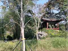 -四海公园(南山区)