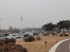 -莫子山公园