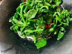 -福照楼汽锅鸡·云南菜(护国路店)