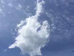 -北京鹫峰国家森林公园