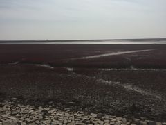 -红海滩国家风景廊道