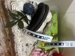 -卷们·现制生日蛋糕·蓝风车动物奶油(金源店)