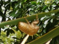 -苏州河梦清园环保主题公园