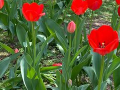 -长春公园(普阳街道)