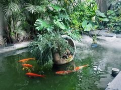 -漫笙舍Manse·咖啡·民宿