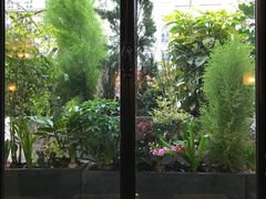 -花神咖啡馆