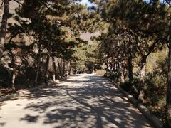 -天津盘山风景名胜区