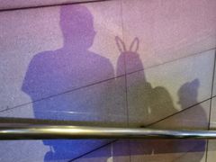 -人民防洪胜利纪念塔