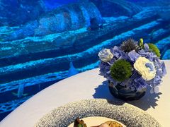 -亚特兰蒂斯•OSSIANO奥西亚诺海底餐厅