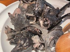 客家黑鸡汤-黑鸡小馆(金源店)