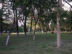 -辽宁大学(崇山校区)
