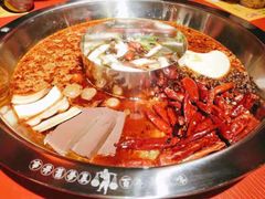 -谭鸭血老火锅(万象九宜城店)