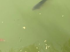 -盛世南宫影视城(北普陀影视城)
