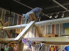 -小时光咖啡馆(开森度假森林店)