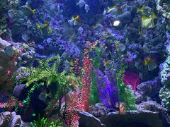 -海合安青岛极地海洋公园