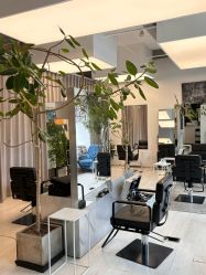 -Hair  Gallery