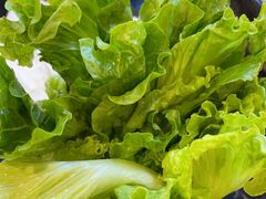 -燚青春东北泥炉烤肉(百合店)