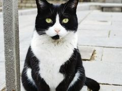 -西安碑林博物馆