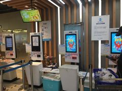 自助结账-盒马鲜生(大成店)