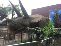 -重庆欢乐海底世界