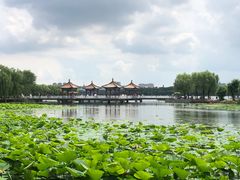 -长春市南湖公园