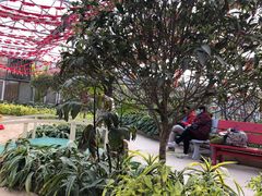 -南宫五洲植物乐园