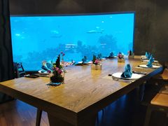 -海棠湾洲际-涛·海底餐厅·美人鱼·自助餐·海底隧道