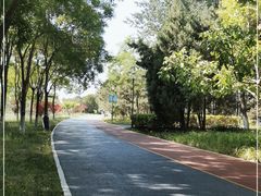 -大兴滨河森林公园