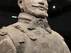 -秦始皇帝陵博物院(兵马俑)