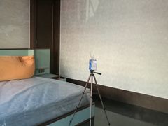 -Liteclear日本进口强效除甲醛检测治理(旗舰店)