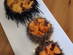 -海胆小馆(东北水饺·春柳店)