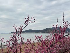 -苏州太湖假日酒店