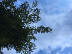 -浔岚云舍mist静谧观景美宿(丽江古城店)